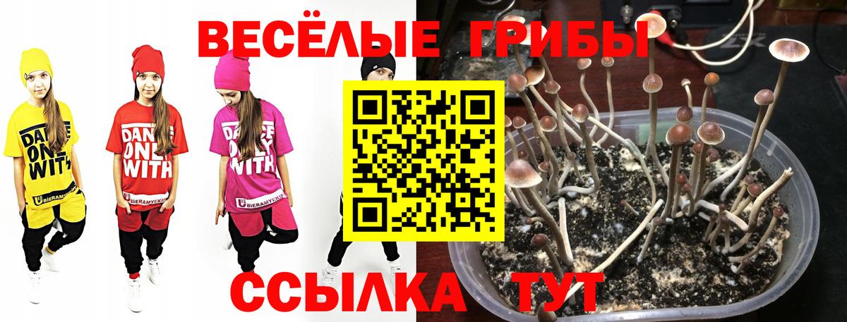 Галлюциногенные грибы мицелий  Вход с VPN  Гусь-Хрустальный 